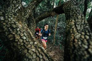 BIB: 
                            <button type="button" onclick="openModal(25392295)" class="btn btn-primary btn-sm float-right btn-popup" data-toggle="modal" data-target=".modal-high-quality">
                        <i class="fas fa-shopping-cart"></i> Add to Cart
                    </button>
                                            <button type="button" onclick="isThisMe(25392295, true)" class="btn btn-success btn-sm float-right btn-popup btn-isme hidden" data-toggle="tooltip" data-placement="bottom" title="นี่คือรูปของคุณใช่ไหม คลิกที่นี่เพื่อเอาเข้าอัลบั้ม">
                        <i class="fas fa-plus"></i> Add to album
                    </button>
                    <button type="button" onclick="isThisMe(25392295, false)" class="btn btn-warning btn-sm float-right btn-popup btn-isnotme hidden">
                        <i class="fas fa-ban"></i> Remove from album
                    </button>